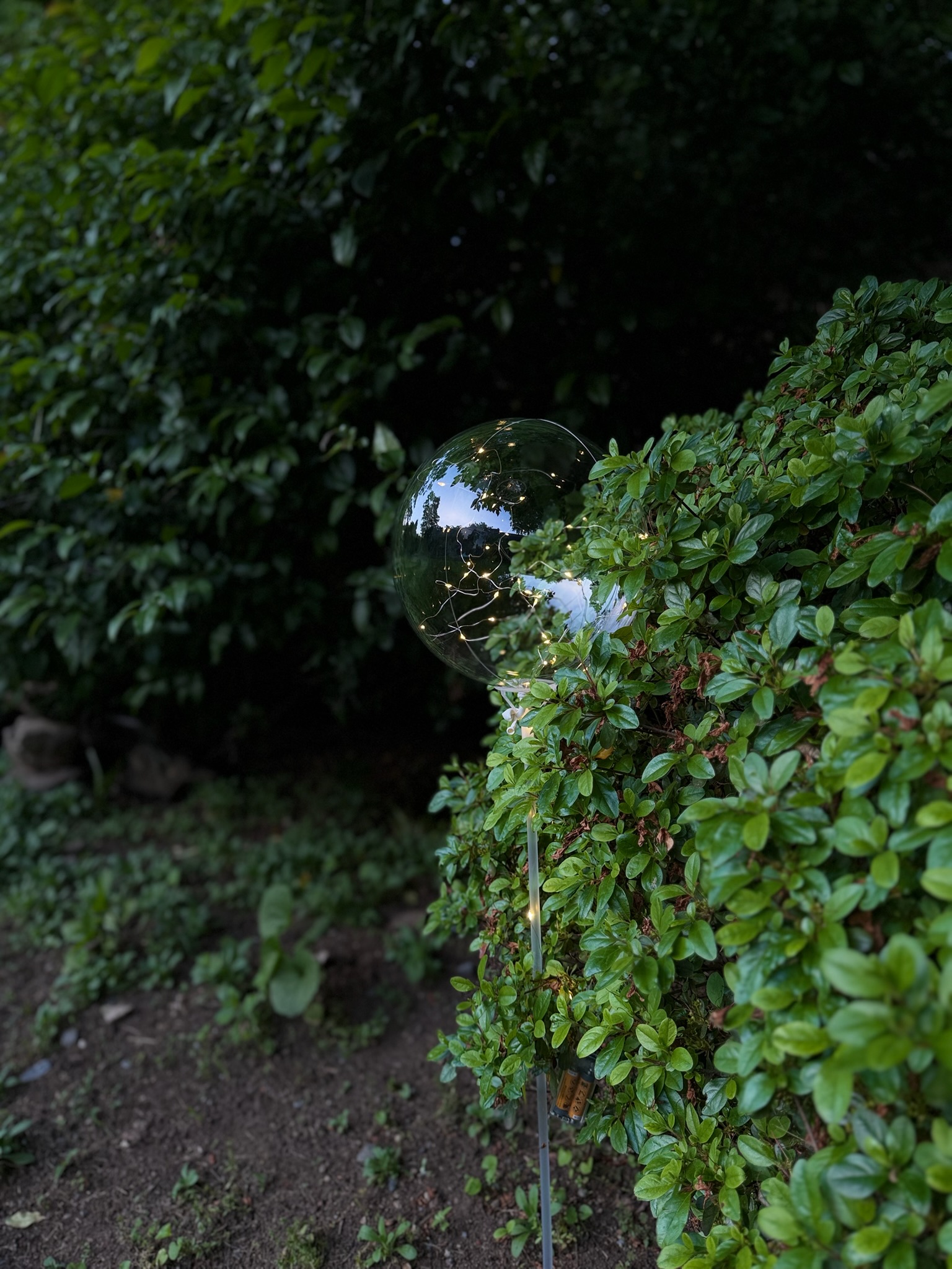 LED balloon among white flowers