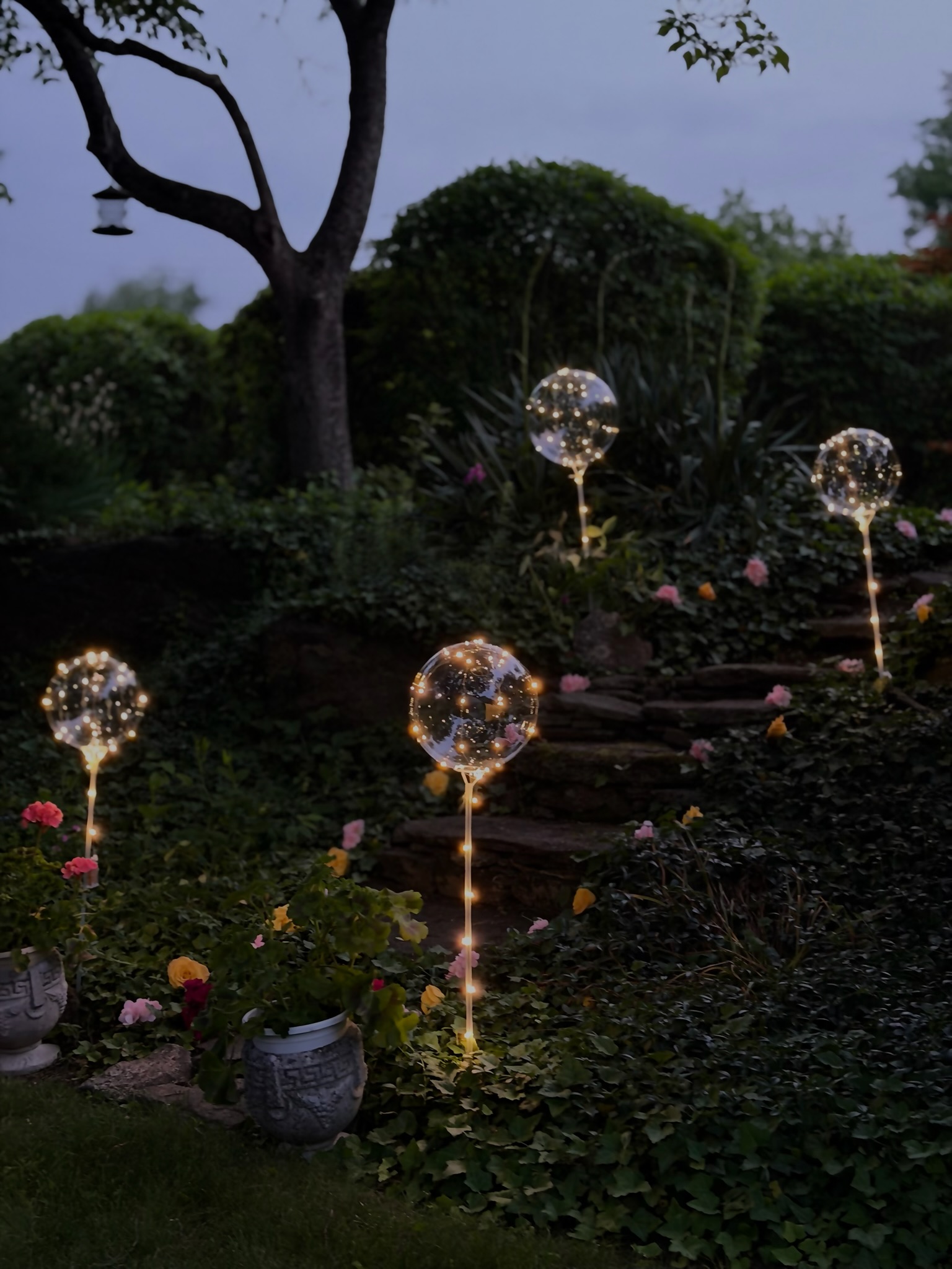 Four LED fairy light balloons along garden path