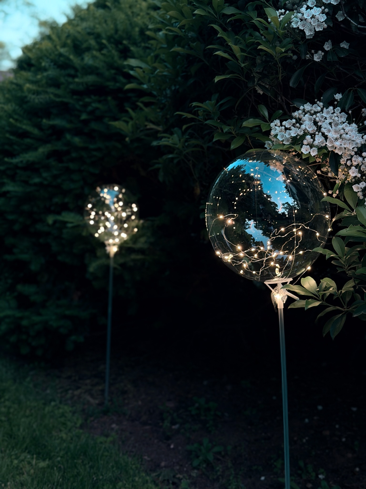 LED fairy light balloon, dramatic night shot