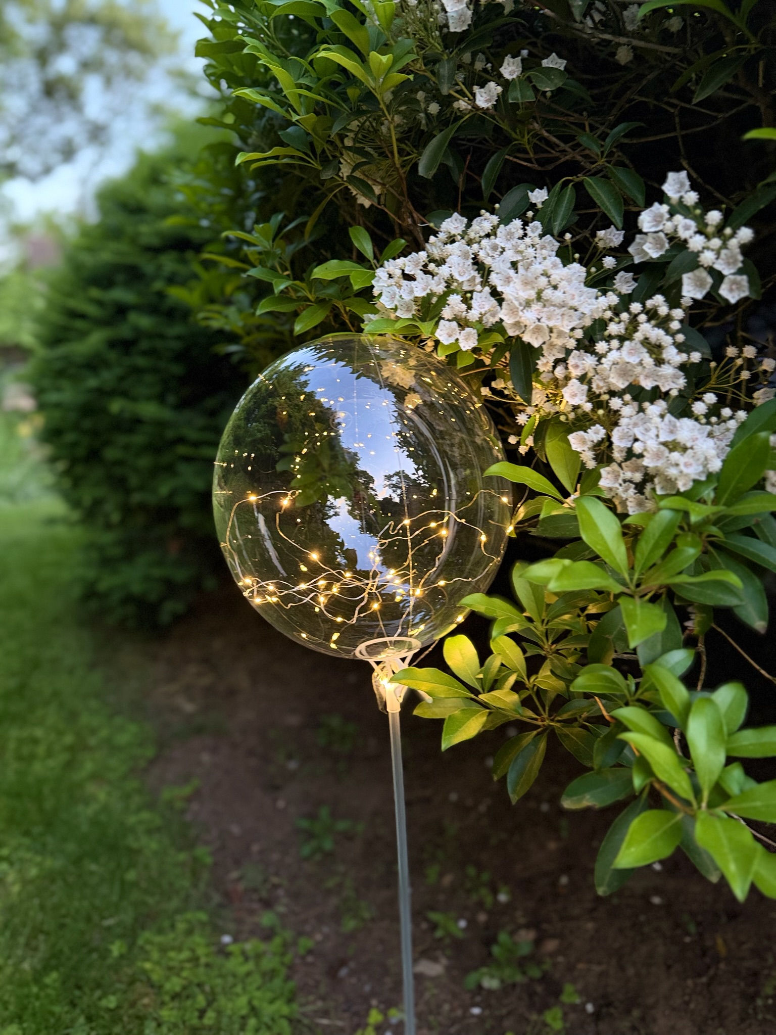 Single LED fairy light balloon with beautiful bokeh